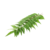 1 Kg