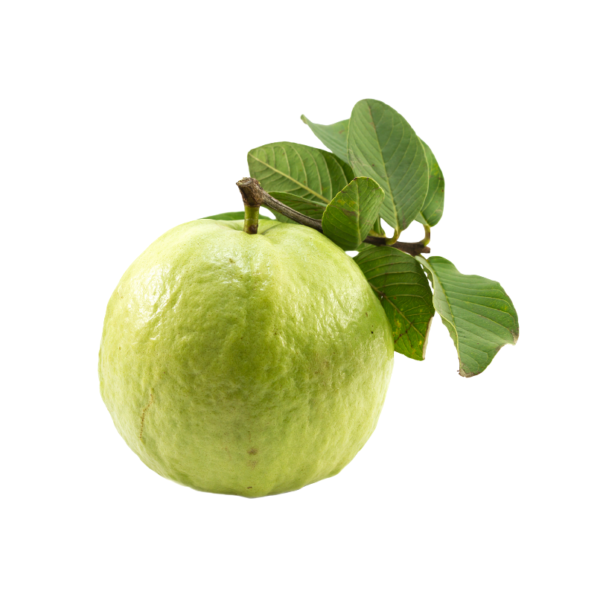 पेरू | Guava