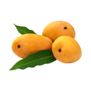 आम | Mango