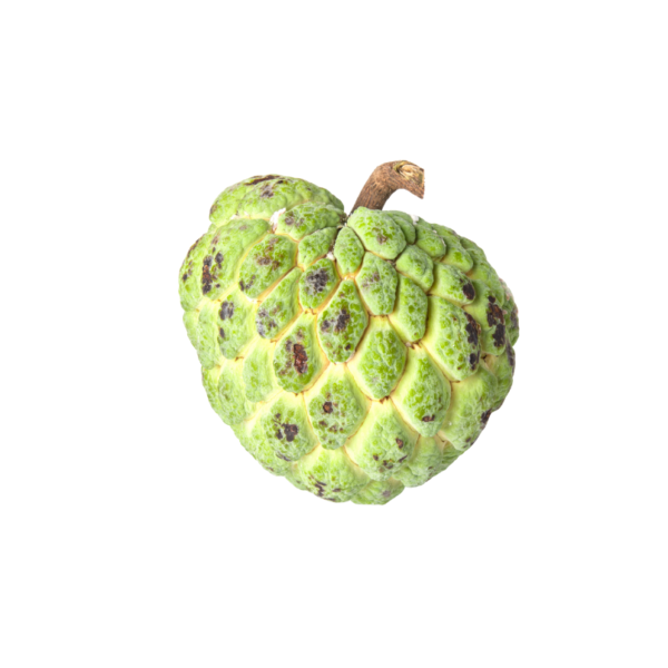 सीताफळ | Custard Apple