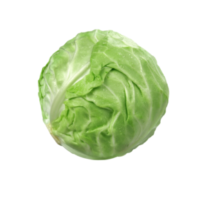 कोबी | Cabbage