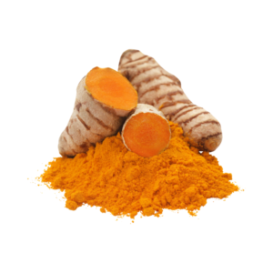 कच्ची हळद | Raw Turmeric
