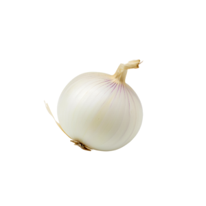पांढरा कांदा | White Onion
