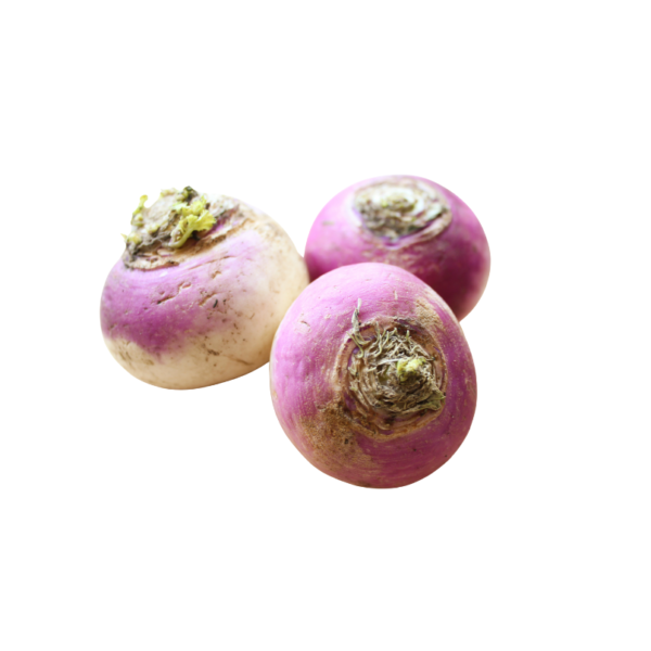 सलगम | Shalgum (Turnip)