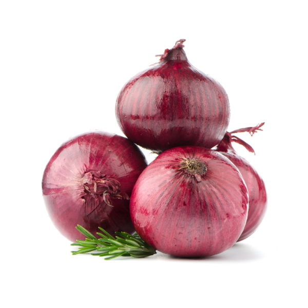 प्याज़ | Onion