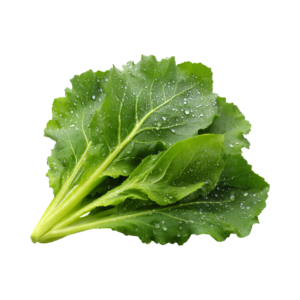 Leafy, Herbs & Exotic